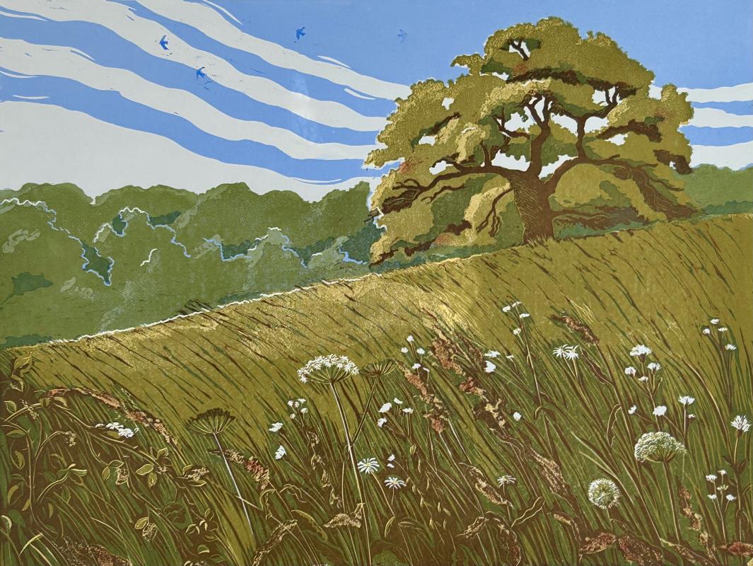 Oak in Summer