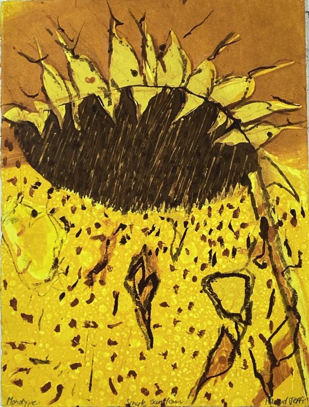 ‘ Three Late Sunflower Studies’