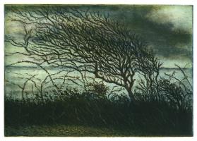 Sand Point Tree