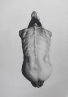 Spine