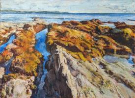 Autumn at Bream Cove