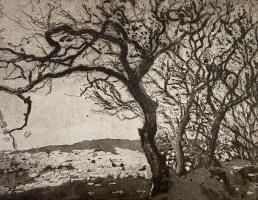 Entanglement