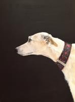Dog and Collar