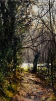 Path to Polridmouth Cove