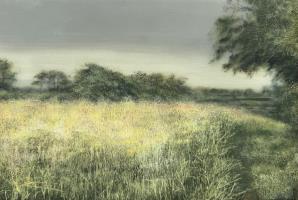 gathering sky