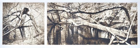 Woodland April - It was here in the gloom, we heard whisperings