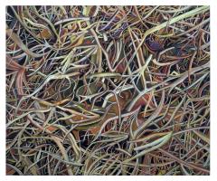 Underfoot