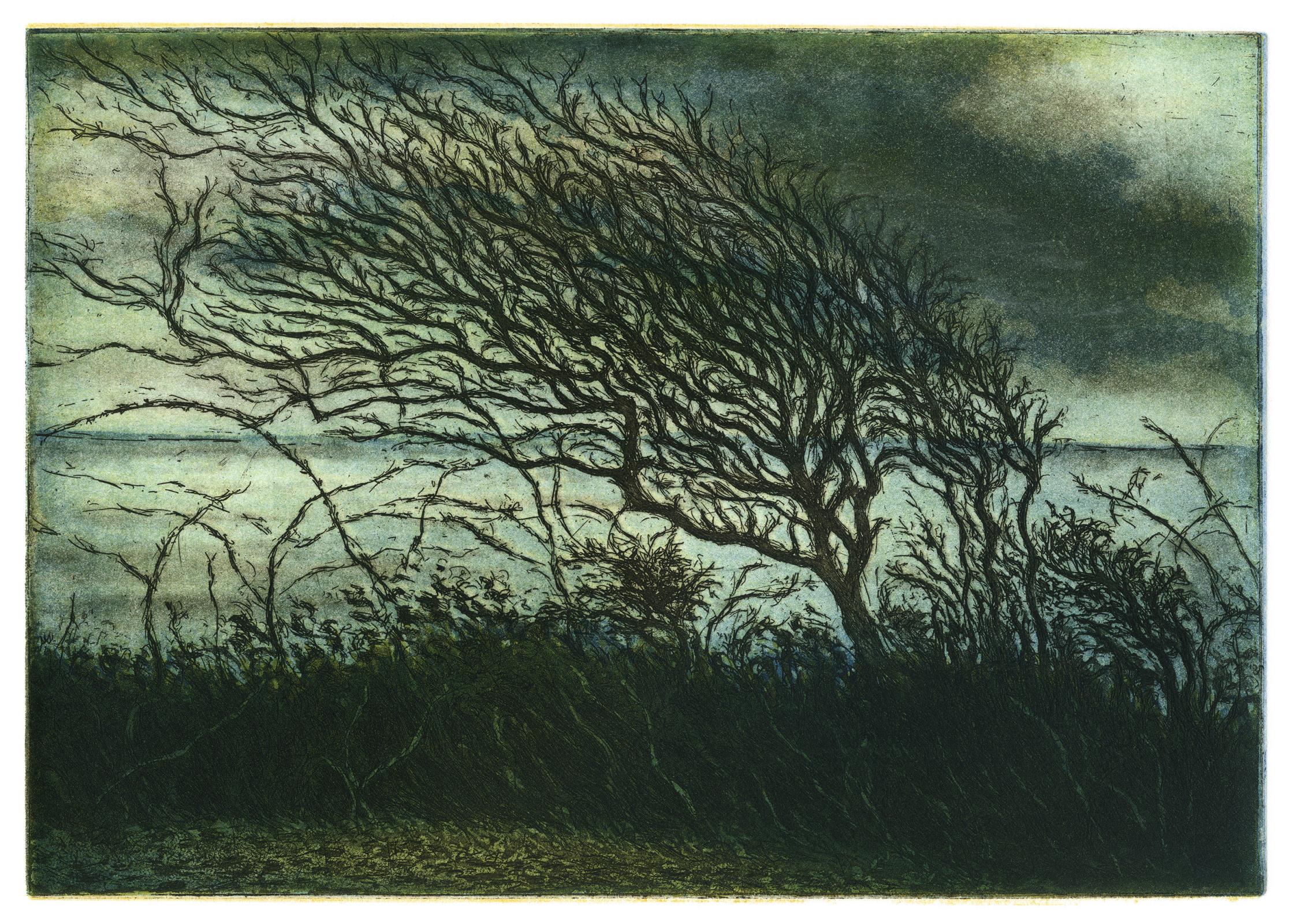 Sand Point Tree