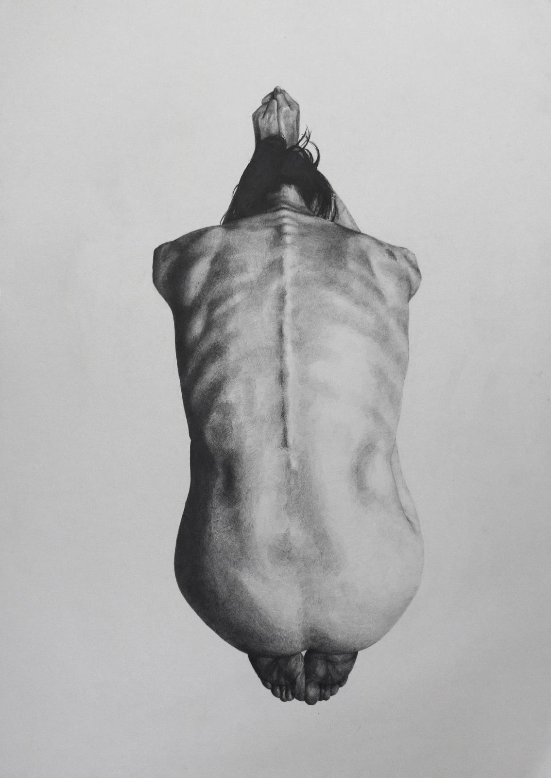 Spine