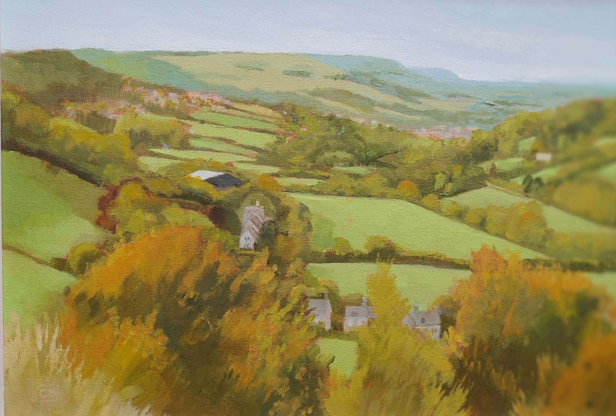 Swift's Hill view, Slad Valley, Autumn 