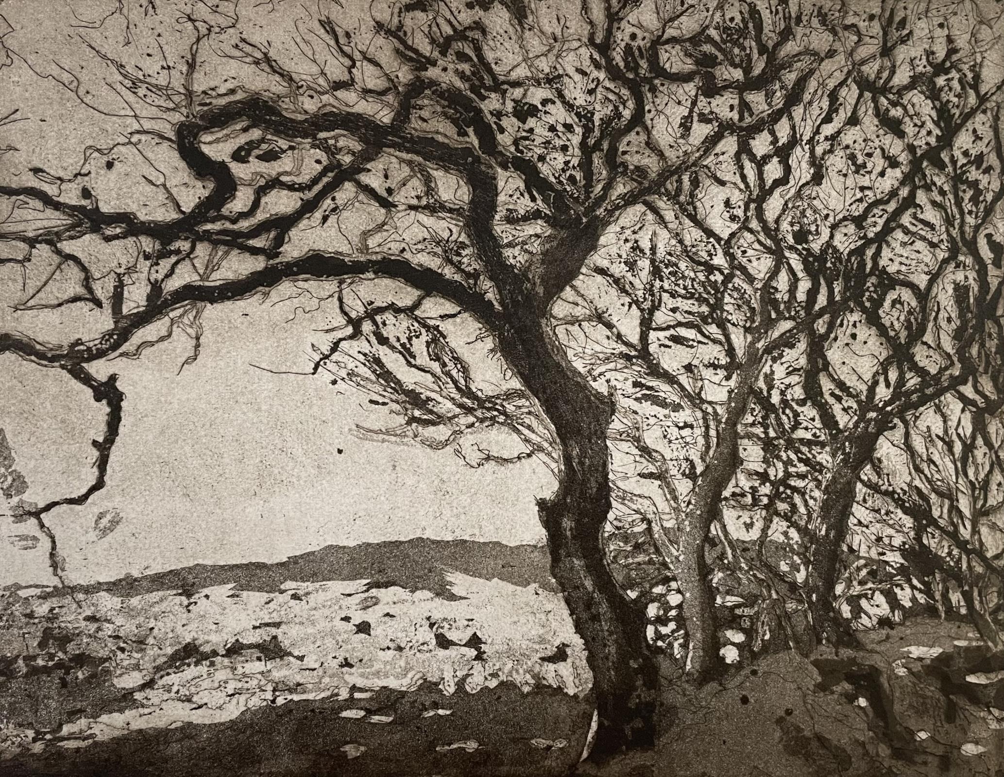 Entanglement