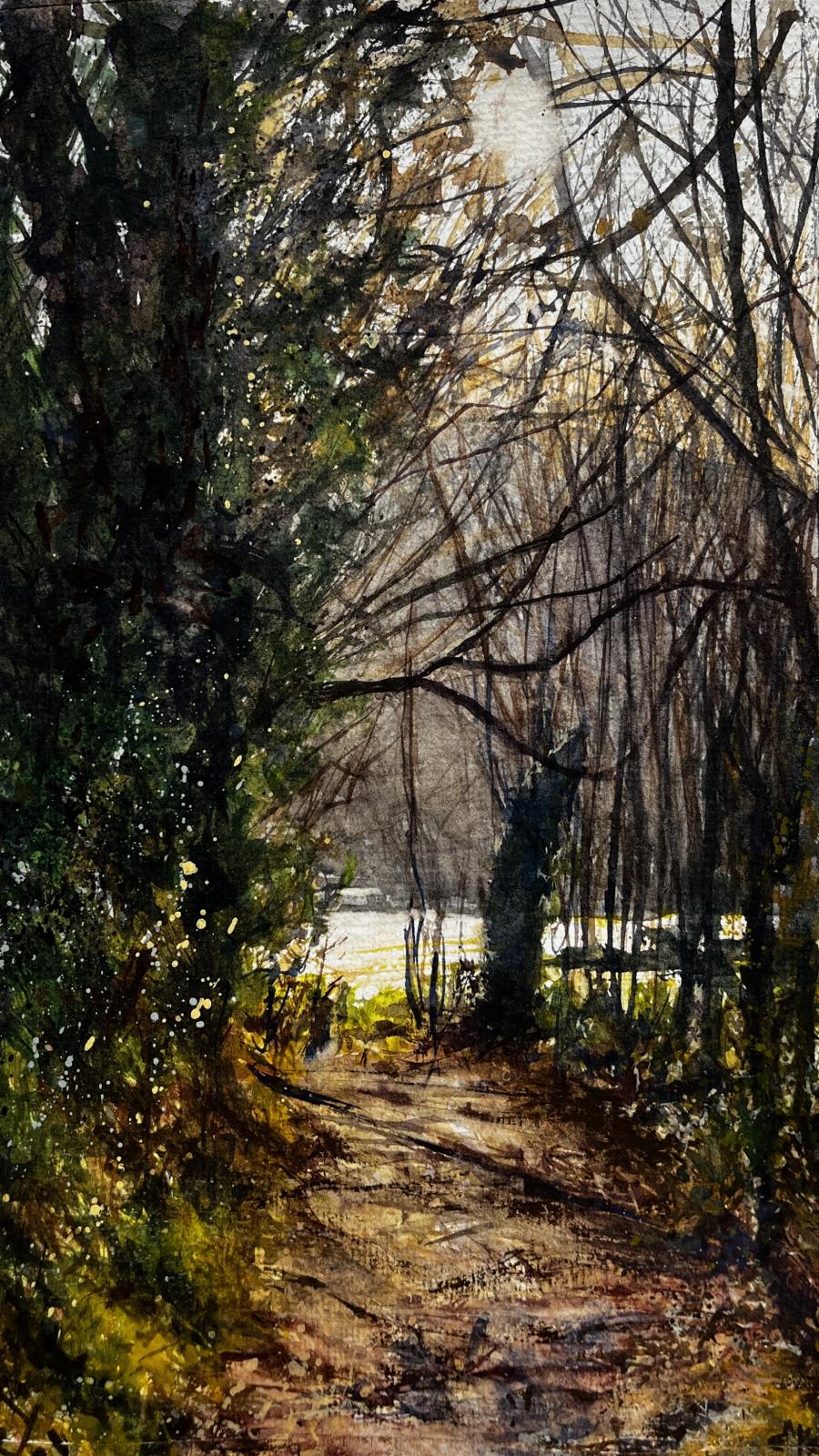 Path to Polridmouth Cove