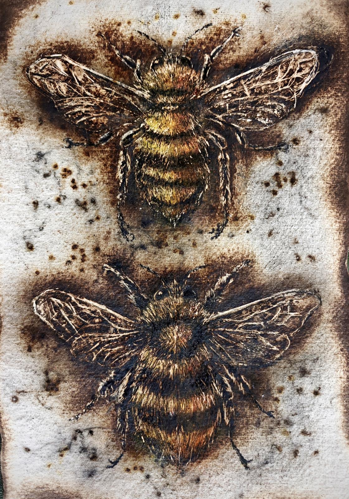 Two Bee or Not to Bee