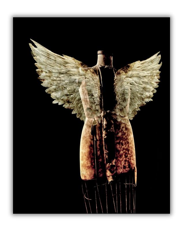 Harpy