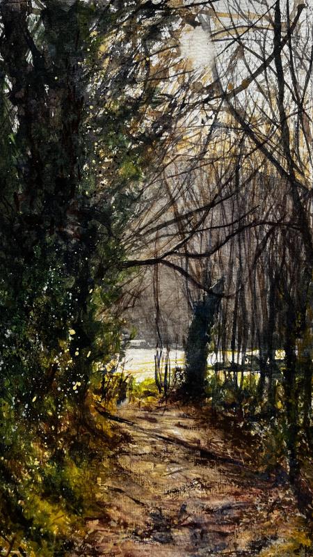 Path to Polridmouth Cove