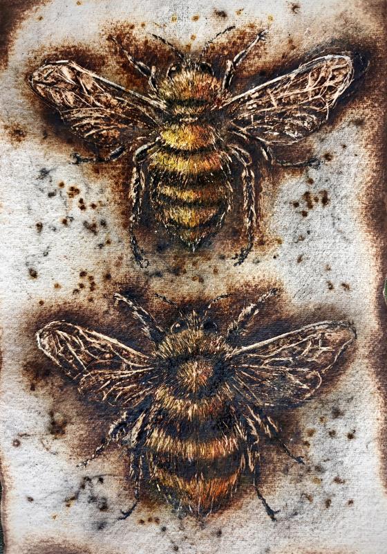 Two Bee or Not to Bee