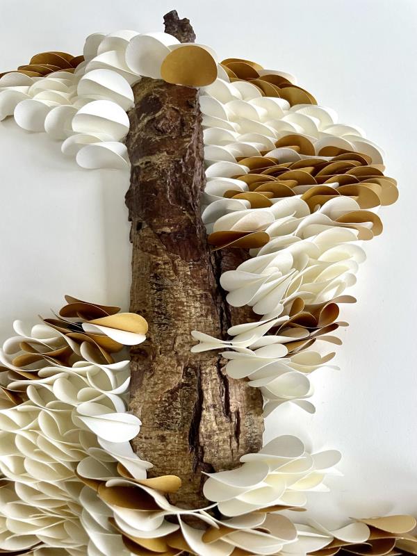 Entangled Fibre No.2