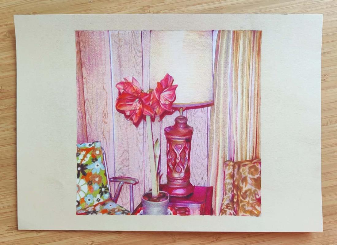 January Amaryllis