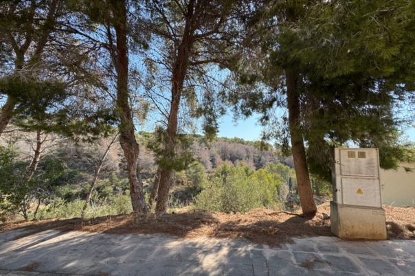 plot in Benissa