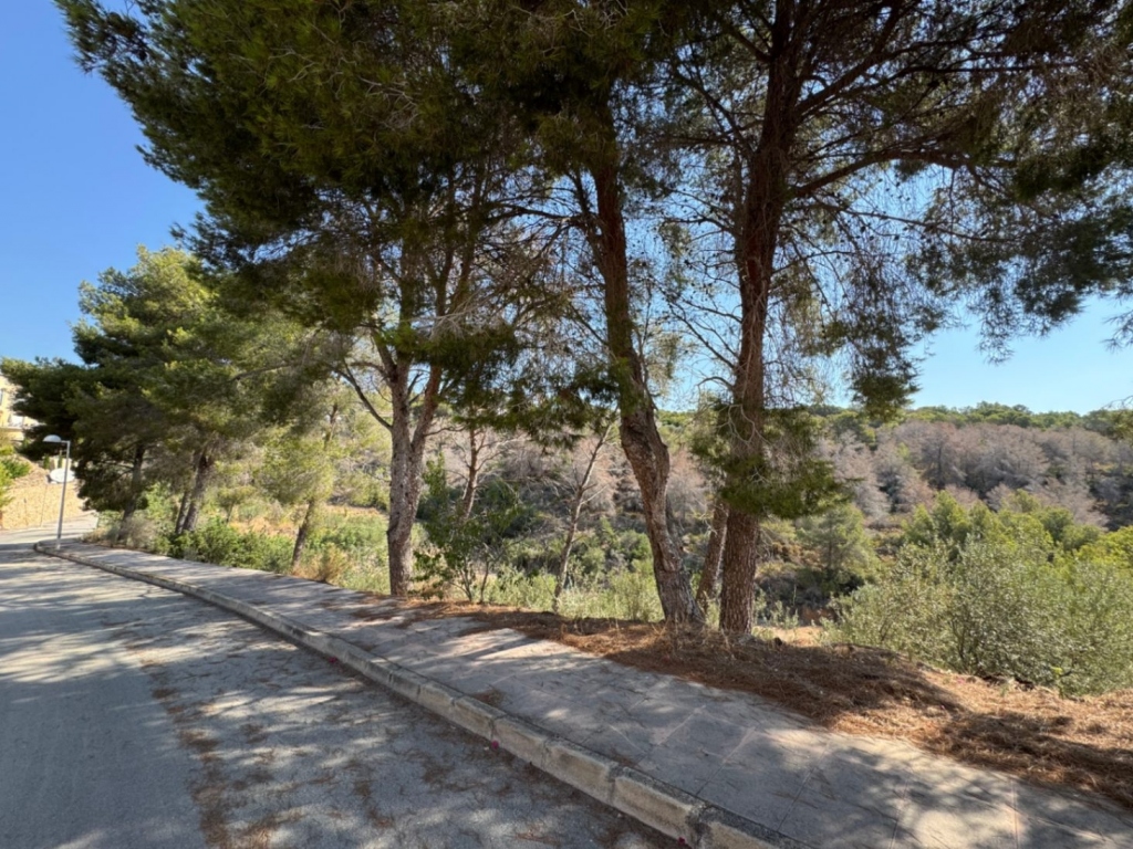 plot in Benissa