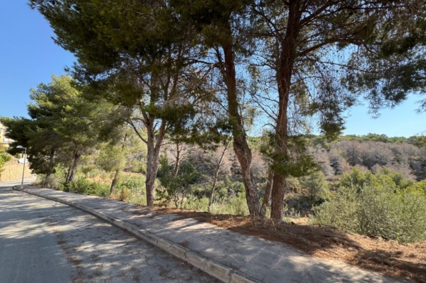 plot in Benissa