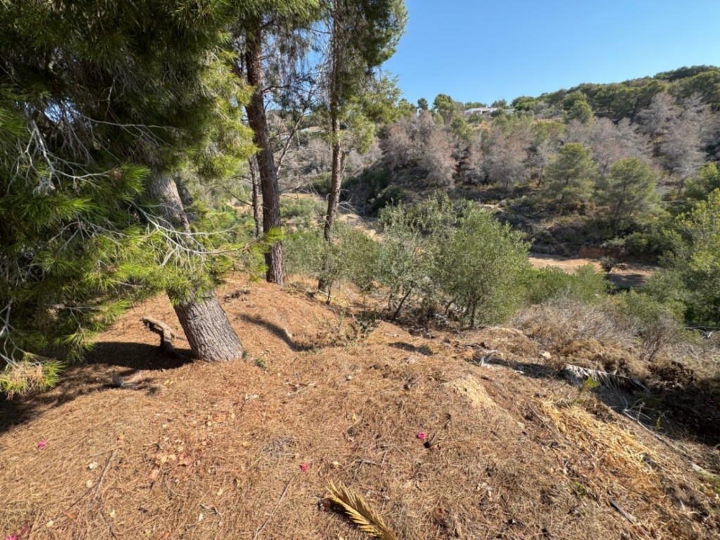 plot in Benissa