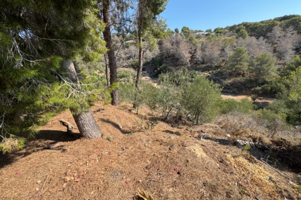 plot in Benissa