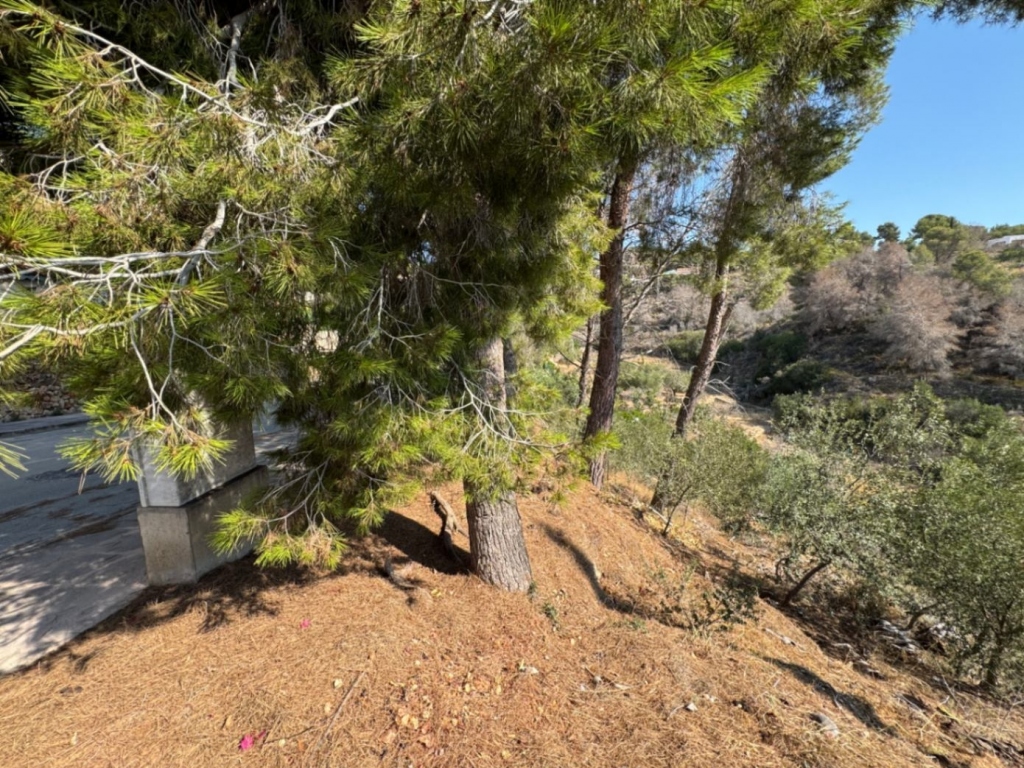 plot in Benissa
