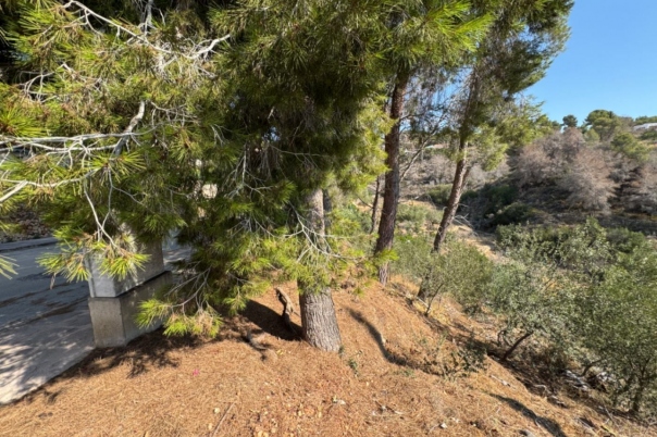 plot in Benissa