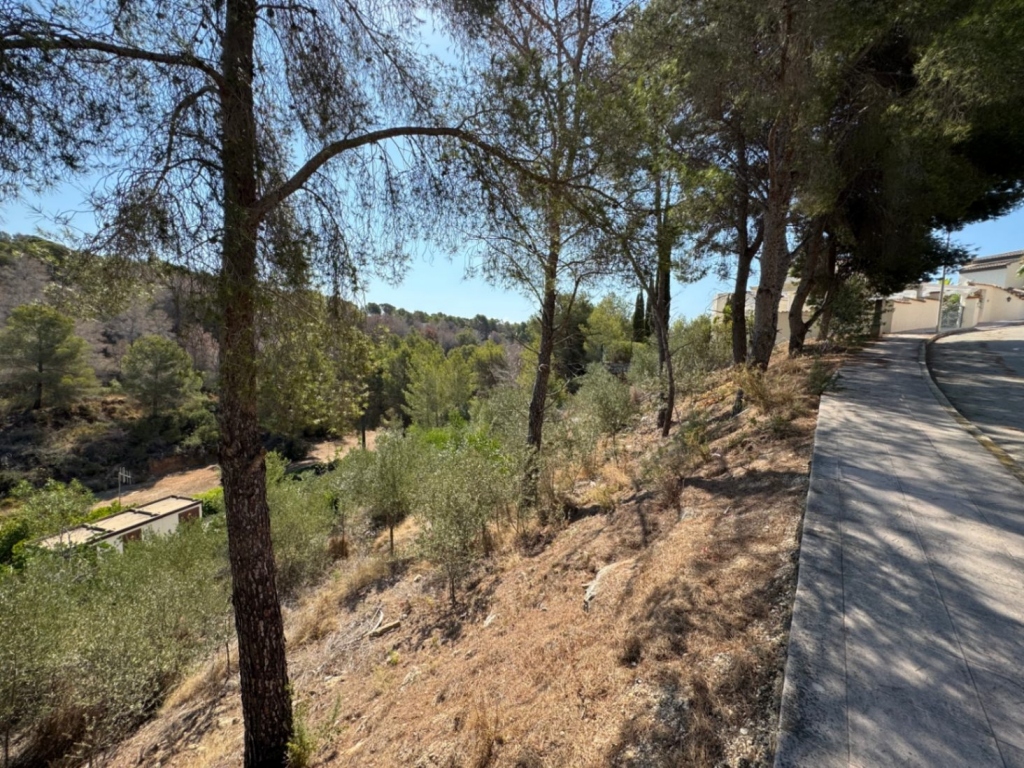 plot in Benissa