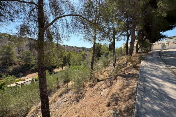 plot in Benissa