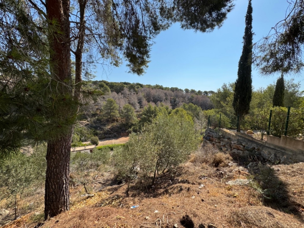 plot in Benissa