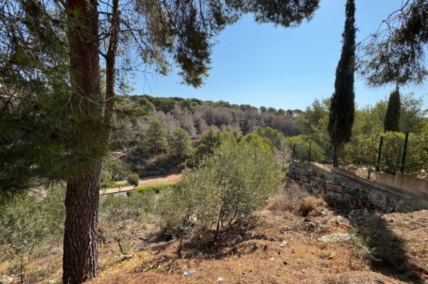plot in Benissa