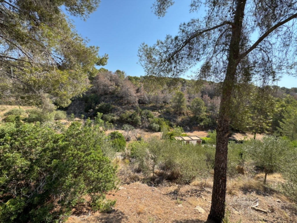 plot in Benissa