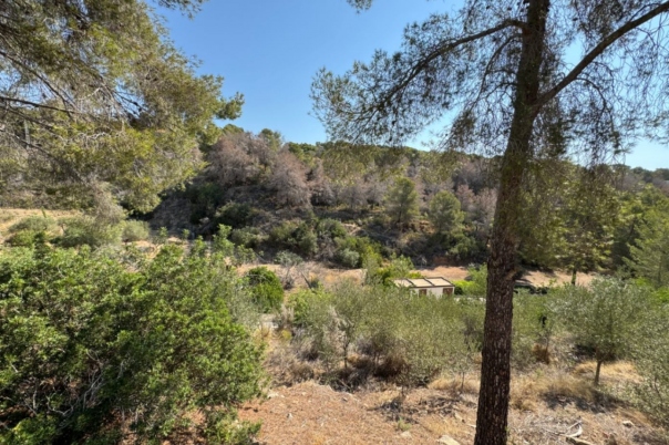 plot in Benissa