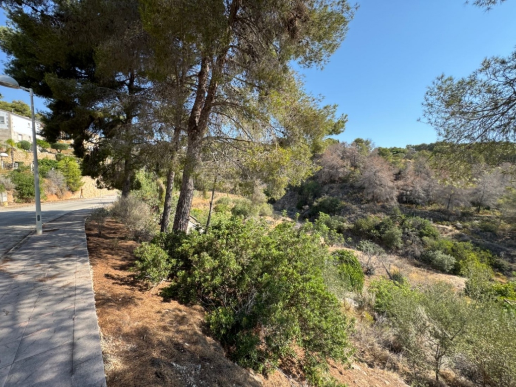 plot in Benissa