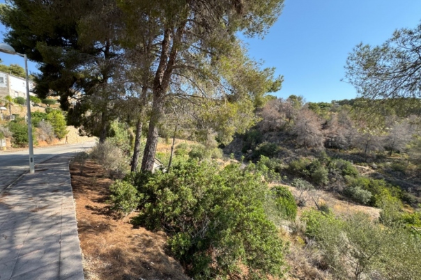 plot in Benissa