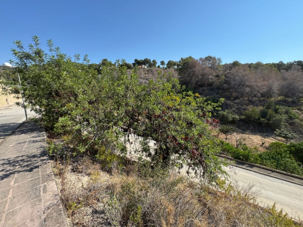 plot in Benissa