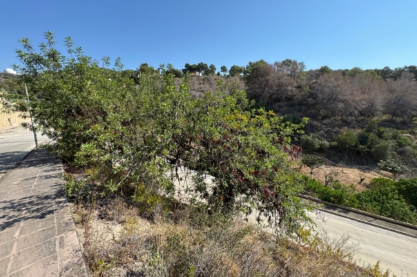 plot in Benissa