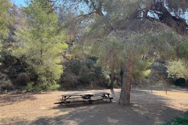 plot in Benissa
