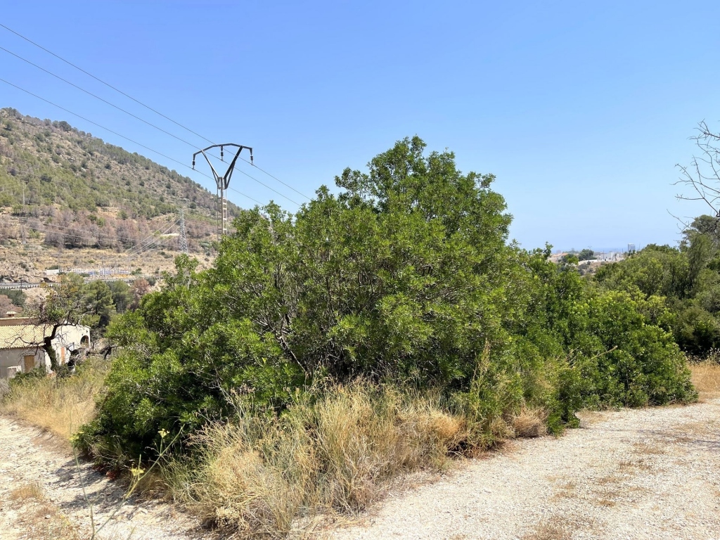 parcela in Calpe / Calp