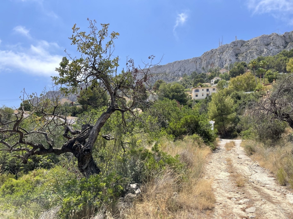 parcela in Calpe / Calp