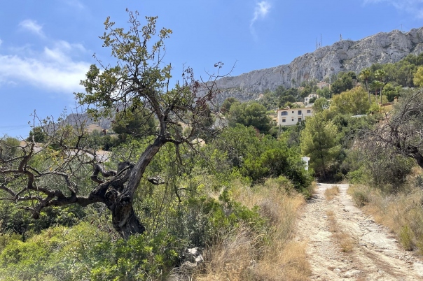 parcela in Calpe / Calp