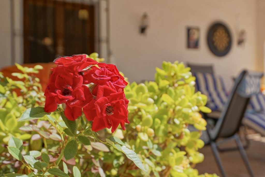 4 bed villa in Jávea