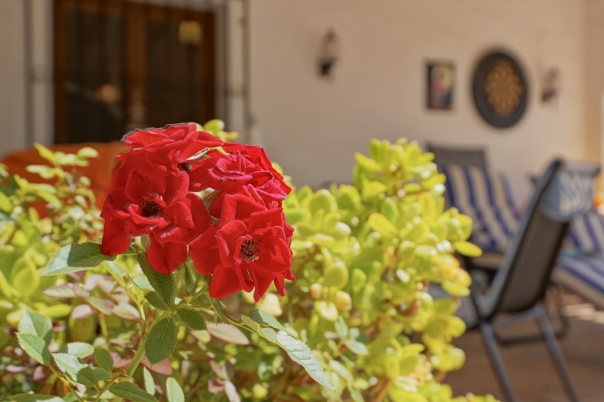 4 bed villa in Jávea
