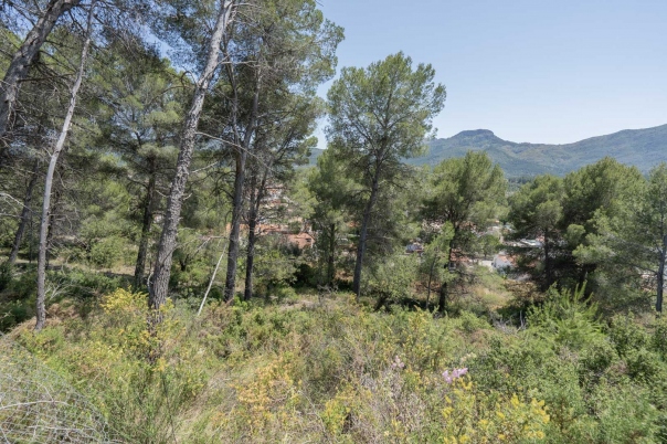 3 bed villa in Alcalalí