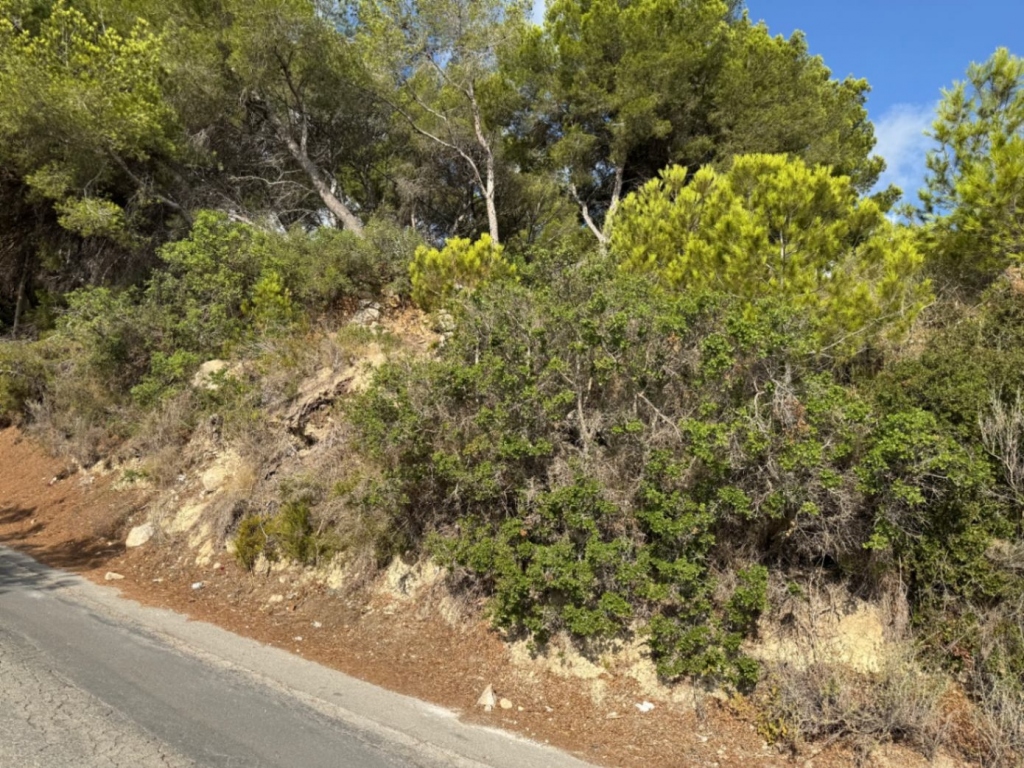 plot in Moraira