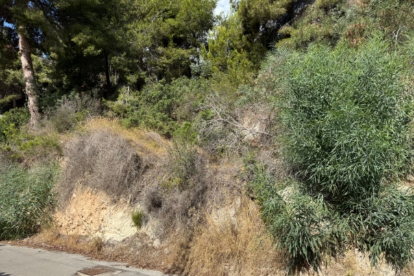 plot in Moraira