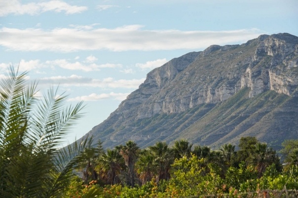 4 bed villa in Denia