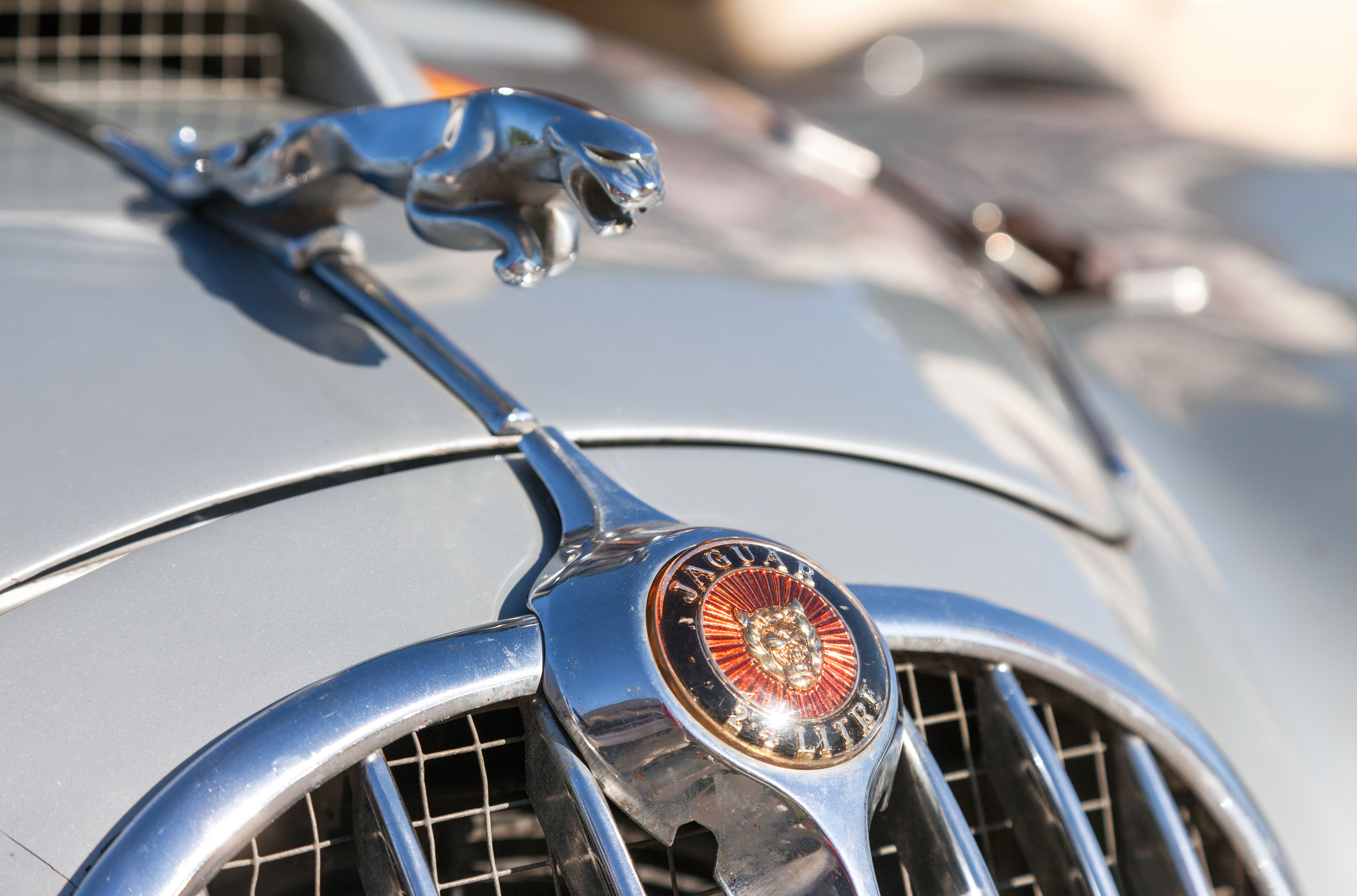 Jaguar Logo on MKII